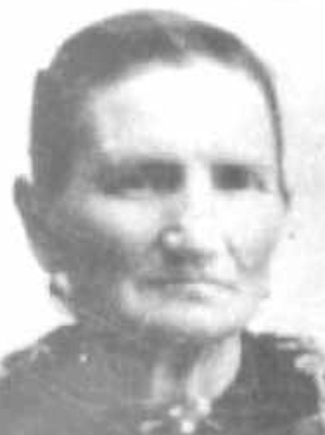 Harriet Amelia Bemus (1844 - 1929) Profile